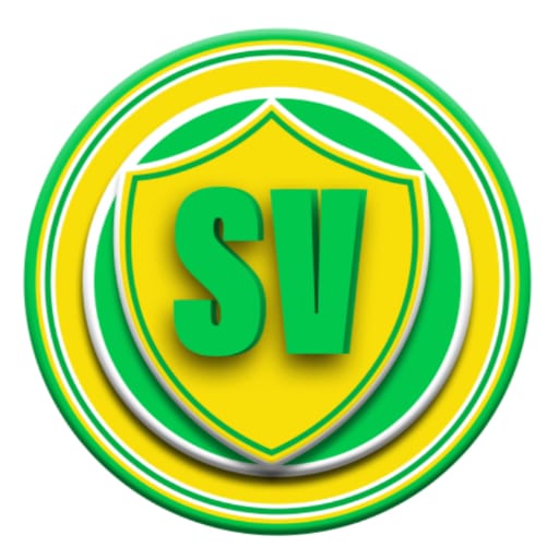 ST NET VIP icon