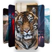 4K Wallpapers on 9Apps