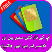 Pakistan Sim Info : Sim Verification icon
