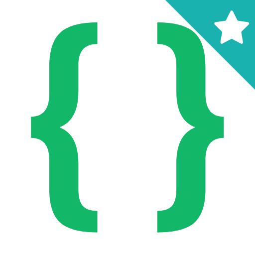 Developer Options icon