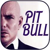 Pitbull mp3 on 9Apps