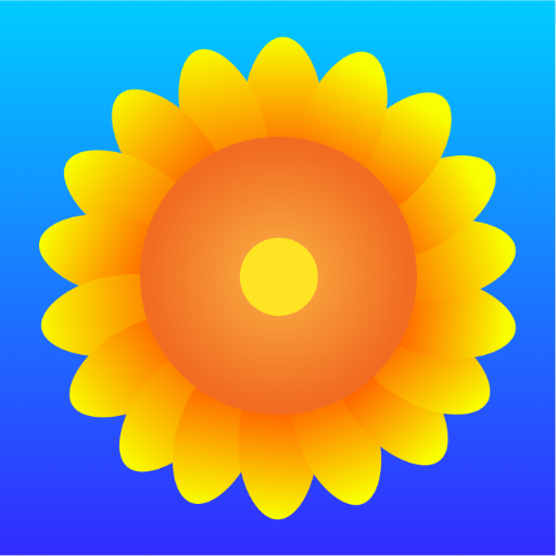 Sunflower Browser icon