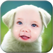 Dog Funny Photo Frame icon