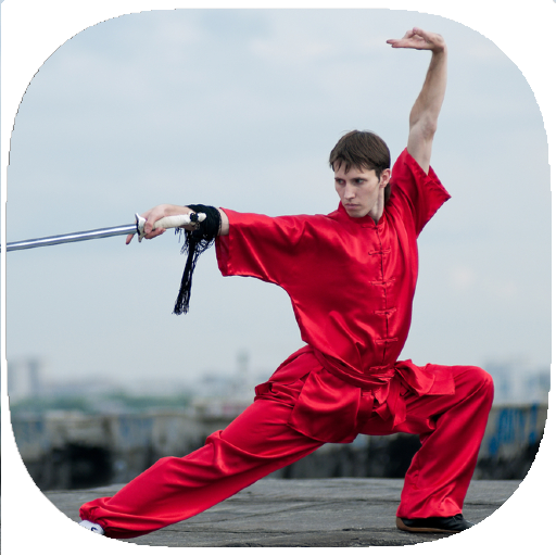 Shaolin Kung Fu Training Guide icon