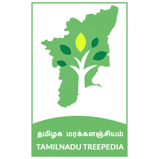 Tamil Nadu Treepedia - தமிழக ம icon