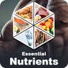 Nutrition App