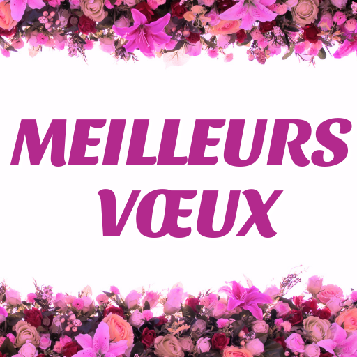 Messages souhaite collection icon