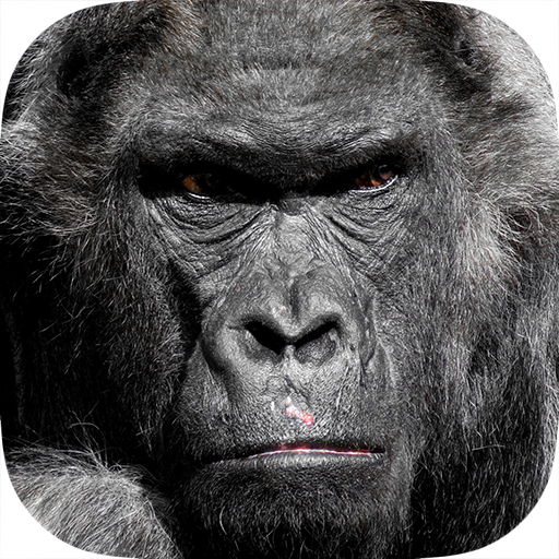 Real Gorilla vs Zombies - City icon