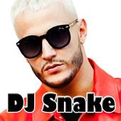 DJ SNAKE icon