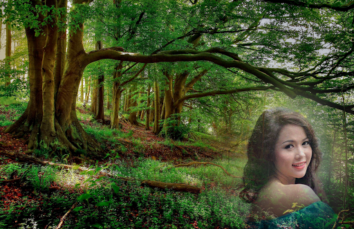 Forest Photo Frames screenshot 5