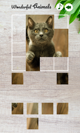 Wonderful Animals screenshot 3