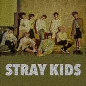 Best Songs Stray Kids (No Permission Required) on 9Apps