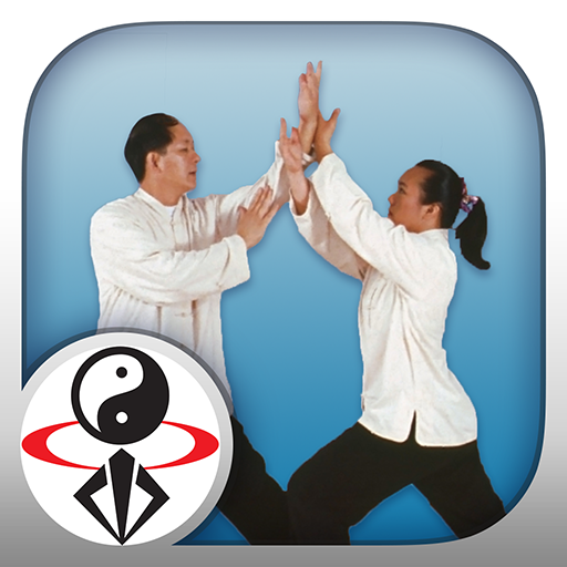Tai Chi Pushing Hands icon