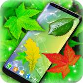 Leaves Magic Touch on Screen on 9Apps