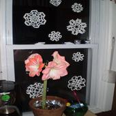 Simple Calculator icon