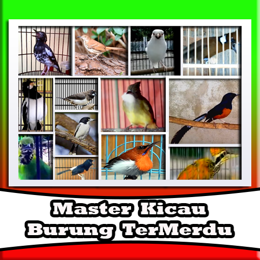 Kumpulan Suara Burung Master icon