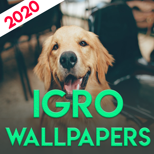 DogsWallpapers 4K [Backgrounds full HD] for dogs icon