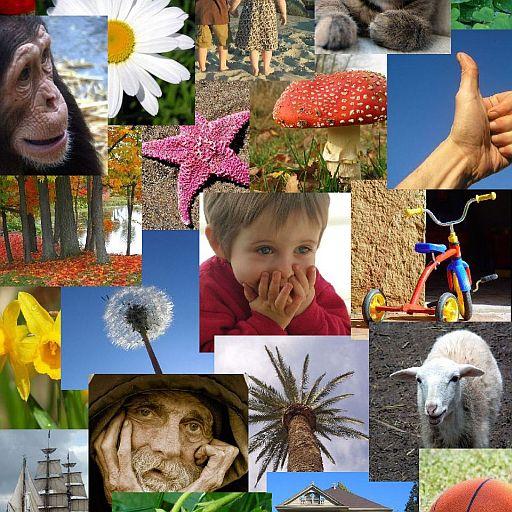 Picturenality-Personality Test icon