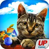 Crazy 3D Cat Life Adventure: Cat Fighting Games