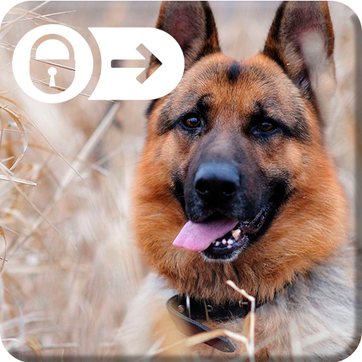 German Shepherd Dog Puppy Theme Screen Lock icon