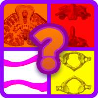 Cuánto Sabes De Anatomía