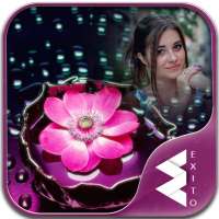 Pink Flower Photo Frames