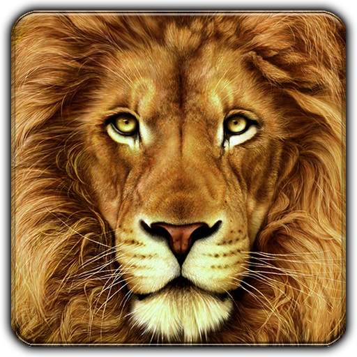 The sound of animals fighting icon