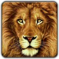 The sound of animals fighting