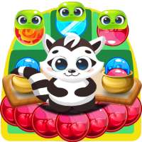 Raccoon Pop - Bubble Shooter Fun Game