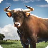Bull Simulator 3D أيقونة