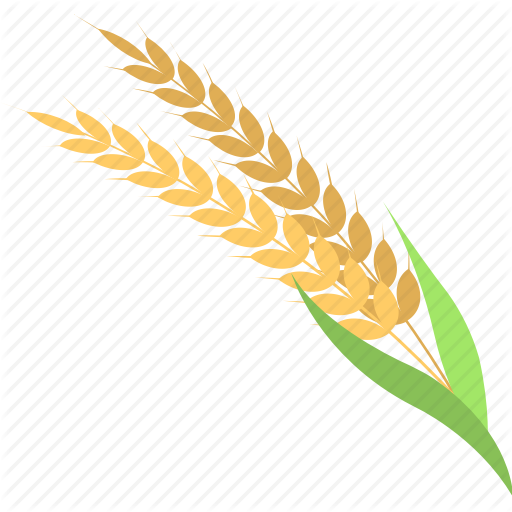 Crop Predictor icon