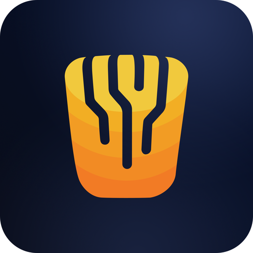 DataCork VPN icon