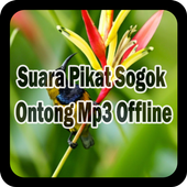ikon Suara Pikat Sogok Ontong Mp3 Offline