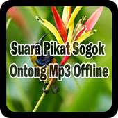 Suara Pikat Sogok Ontong Mp3 Offline