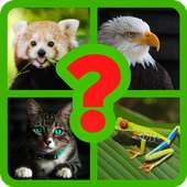 The animal quiz - Can you guess all the animals