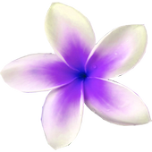 Flowers live wallpaper icon