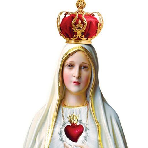 Lojas e Livrarias Católicas - Galeria Do Católico icon