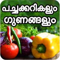 All Vegetables Names And Its Benefits In Malayalam on 9Apps