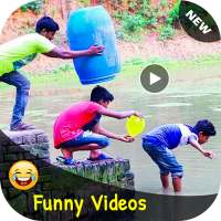 Funny Videos for Whatsapp