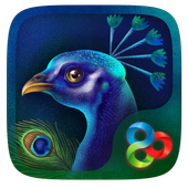 Peacock GO Launcher icon