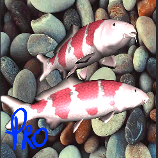 3D Koi Special Live Wallpaper Pro icon