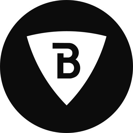 Brave App icon