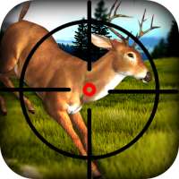 3d Deer Hunting Shooting