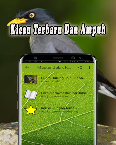 Masteran Jalak Kebo Offline screenshot 2