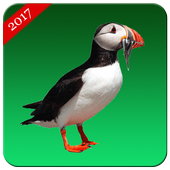 PuffinPaw Browser icon