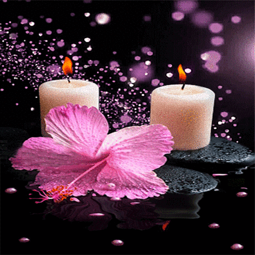 Pink Flower Candle LWP иконка