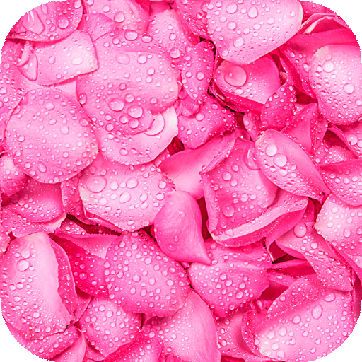Pink Wallpapers | hd backgrounds icon