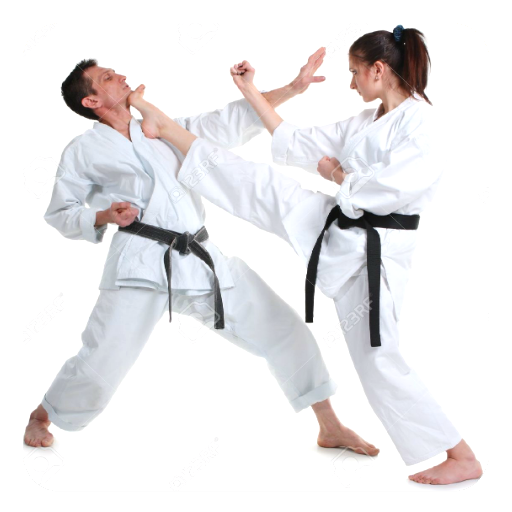Karaté icon