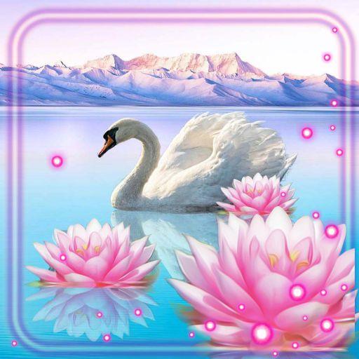 Lotus and Swan Live Wallpaper icon