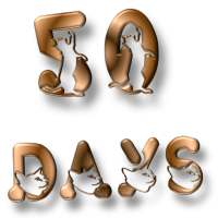 50 DAYS for 55 CATS